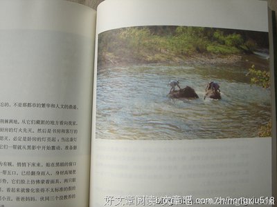 《目送》经典句子大全