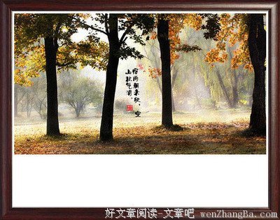 心静，方能闻一路花香