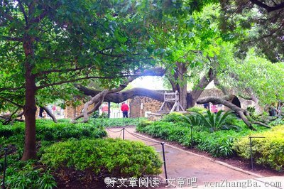 伤痕的力量