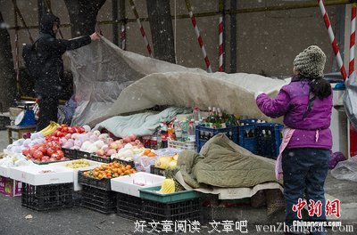 关于董仲舒的格言