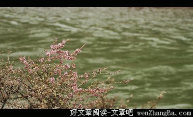 金川诗歌名言大全