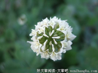 2017田反经典语录