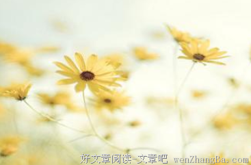 《第二次二十岁》经典语录大全