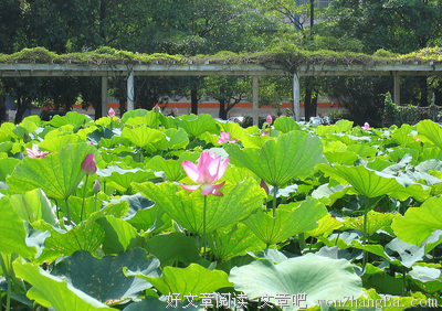 关于香师的语句