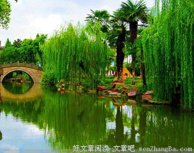 描写婀娜多姿的经典句子