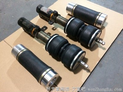 最新的《皮囊》好段摘抄
