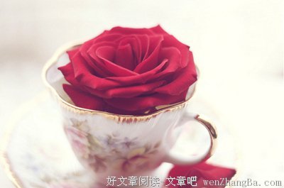 关于华丽的唯美语录