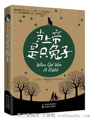 最经典的《那年那兔那些事》经典名句