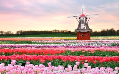 难以忘怀格言警句