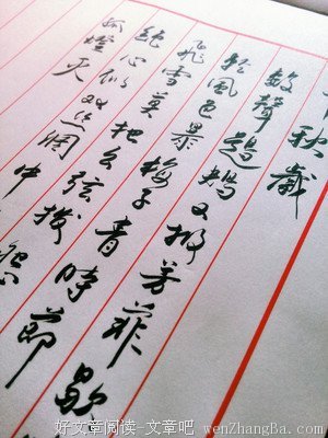 张先的名人名言
