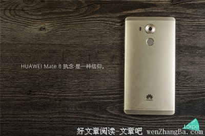 执念成灰，信仰成灾