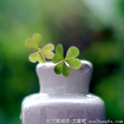 最全的《快乐就好日志总管》经典的句子