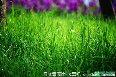 描写寒冬腊月的经典句子