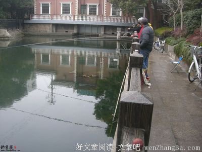 按耐不住，想diss你的心