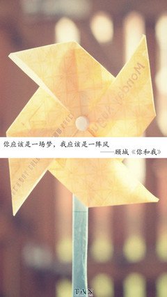 15条关于一阵风的经典语句