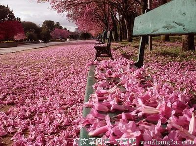 壁纸丨掬水月在手，弄花香满衣