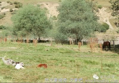 李贽的名句_关于李贽的名句