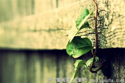天秤座：犹豫的你终究会找到答案。