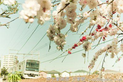 行之有效的语句摘抄_关于行之有效的语句