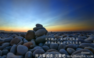 可观的句子