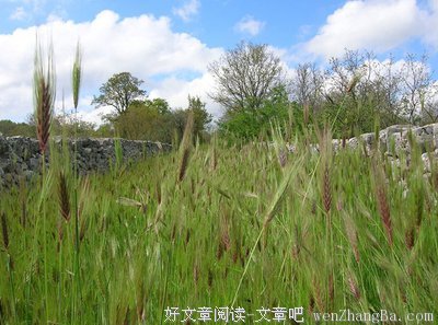 机场来了萌萌的小卫士 阻止外来物种入侵 | 中国人的一天