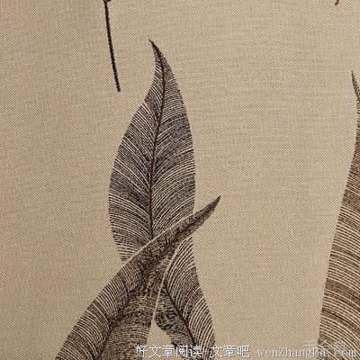 若叶知秋名言大全