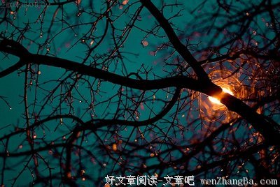 最全的谁解沉舟经典语录