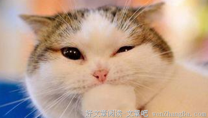 时髦的语句摘抄_关于时髦的语句