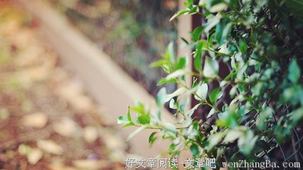 关于爱因斯坦的名句摘抄