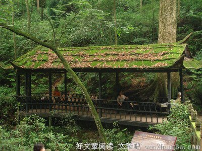 最新的《青城》名句欣赏