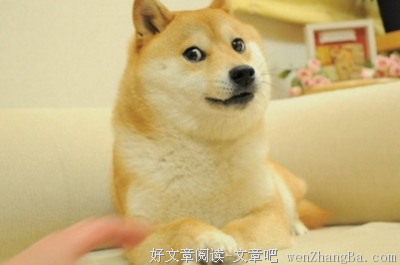 单身率最高的星座
