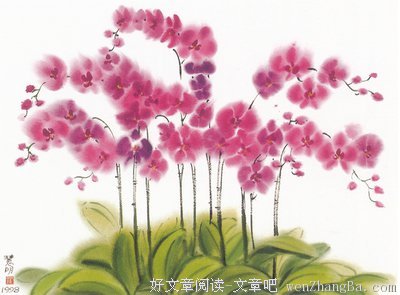 关于不言不语的唯美语录