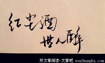 最经典的《一生一世笑红尘》小说摘抄
