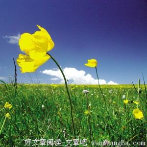 让人舒服，是最聪明的做人之道