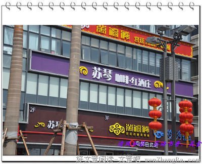 海棠深处见白马