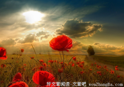 关于炫目的格言
