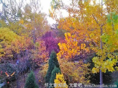 关于听天由命的唯美语录