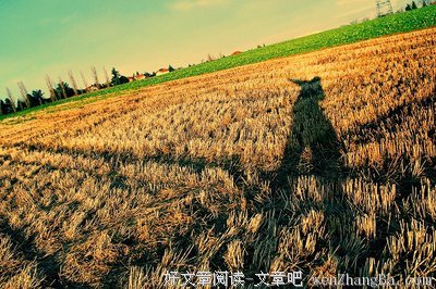 最新的《麦田守望者》佳句摘抄