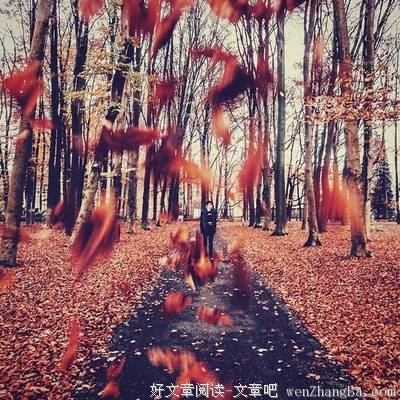 最新的《心语馨音》语录摘抄