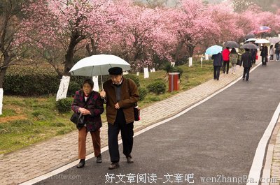最全的《天涯论坛--梅花易数详解》经典的句子