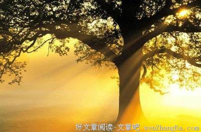 技不如人的语句摘抄_关于技不如人的语句