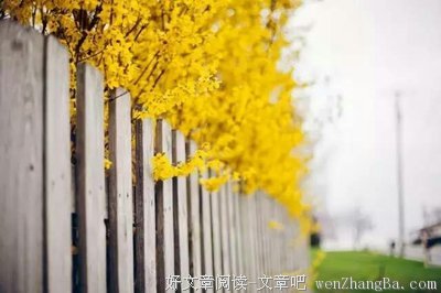 活出生活的十种状态