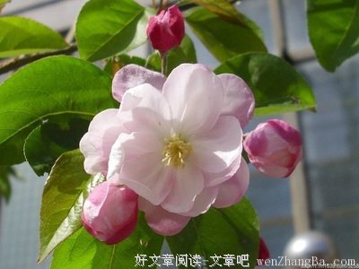 离愁别绪格言警句