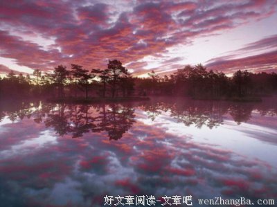 陈瓷的名言名句