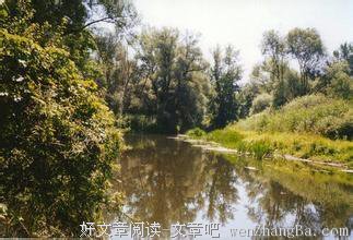 最新的梅吉经典语录