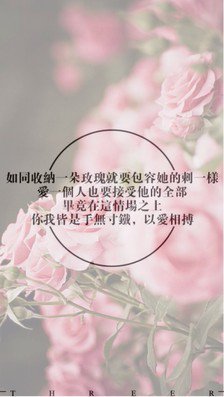 最全的《面包树上的女人》小说摘抄大全
