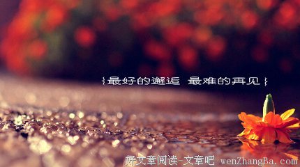 橙黄的语句摘抄_关于橙黄的语句