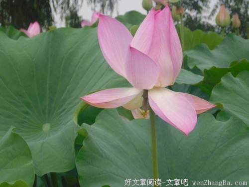 麦家：塑造自己很难，毁掉却很容易