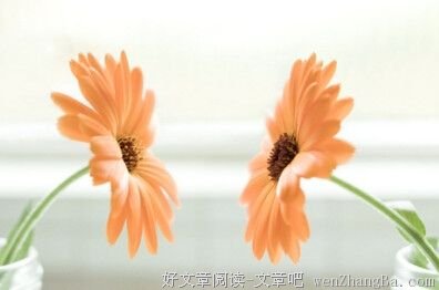 生而为人，请不要忘记善良！