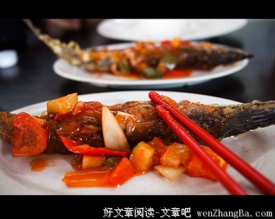 吃货们，该填满的是日子而非肚子
